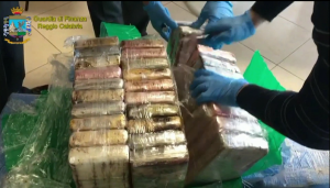 Sequestrati 25 kg di cocaina purissima al porto di Gioia Tauro