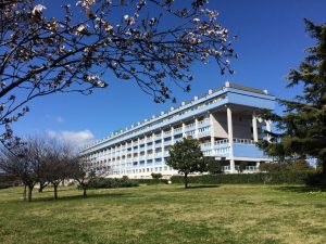 Ospedale Lamezia - LameziaTerme.it