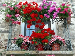 balconi e angoli fioriti