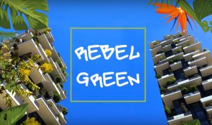 Rebel Green Crowdfunding
