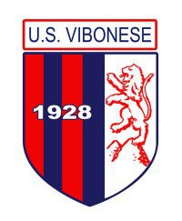 Vibonese Calcio - LameziaTerme.it