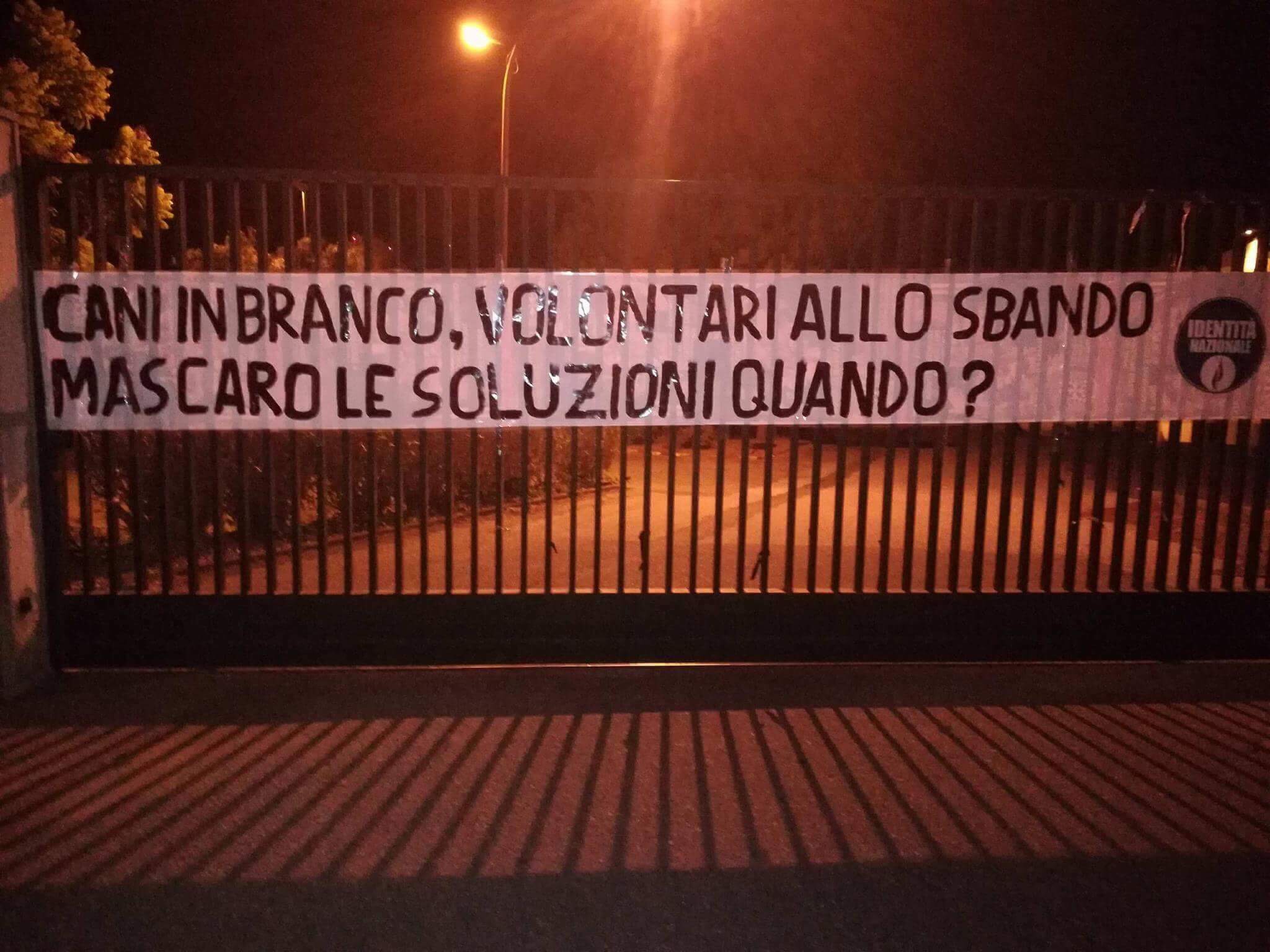 Striscione su randagismo, Identità Nazionale - LameziaTerme.it