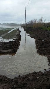 Coldiretti denuncia danni all'agricoltura, campo allagato a Nocera