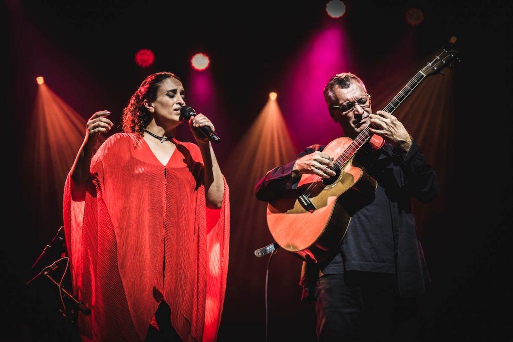 Noa in concerto al Teatro Rendano, la conferenza stampa, un momento del concerto al Quirinale