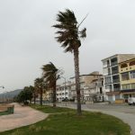 danni in Calabria per il forte vento-LameziaTermeit