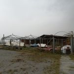 danni in Calabria per il forte vento-LameziaTermeit