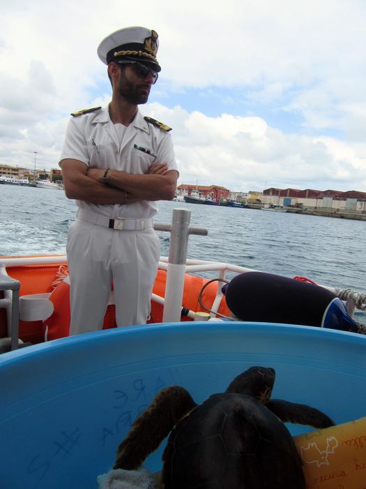 Lamezia. Caretta caretta liberata in mare dopo cure