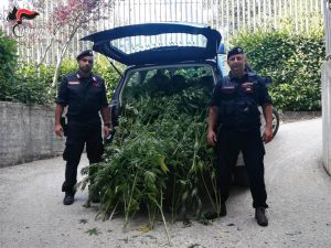 Controlli straordinari dei carabinieri nel territorio intercomunale di Soveria