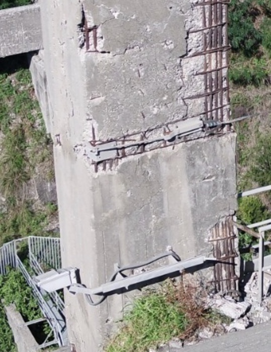 Catanzaro. Militanti Forza Italia fotografano pilastri Ponte Morandi