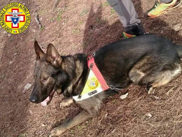 Cane soccorso alpino trova due dispersi a Celico