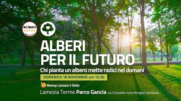 alberi per il futuro parco gancia