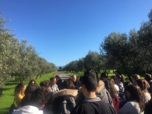 Gli studenti dell'Unical a Castellace nei terreni confiscati ai Mammoliti