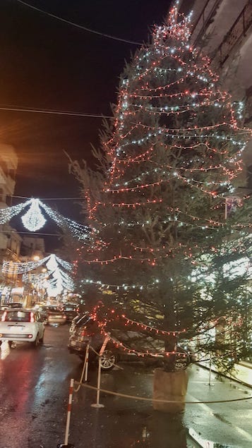 soverato commercianti donano albero di natale