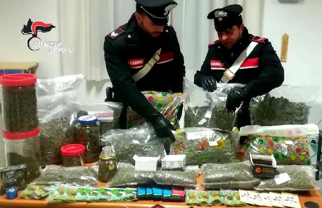 Arrestato commerciante di Cannabis light
