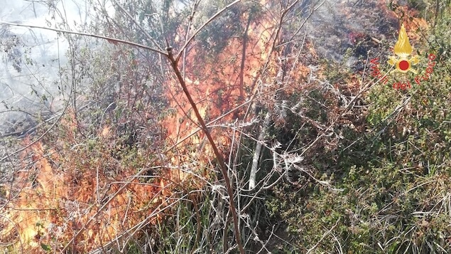 Vasto incendio di arbusti e macchia mediterranea