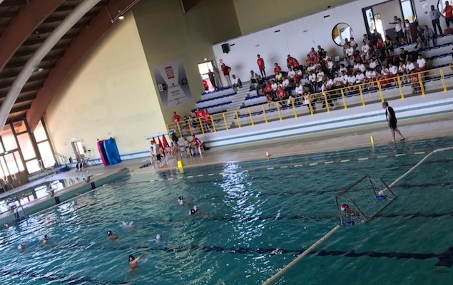 Nuoto: l'Arvalia Lamezia torna a giocare in casa