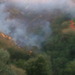 Incendio di macchia mediterranea e bosco a Caminia