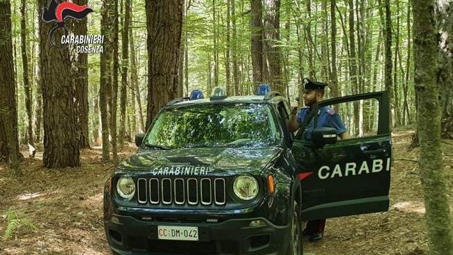 carabinieri forestale