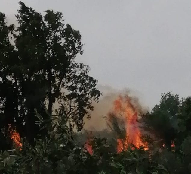 Falerna (CZ). Vasto incendio sulle colline