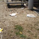 Italia Nostra: parchi a Lamezia nel totale abbandono
