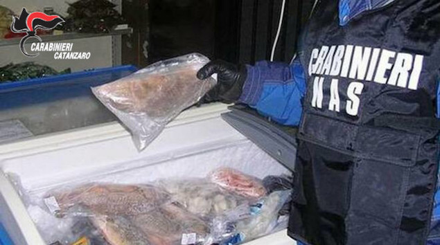 Carabinieri sequestrano prodotti ittici a Lamezia Terme