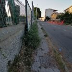 Quartiere Capizzaglie: strade e marciapiedi invasi da erbacce, Comune intervenga