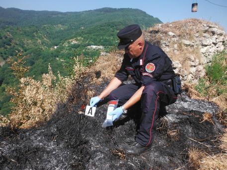 Incendi: presunto piromane arrestato dai carabinieri forestale