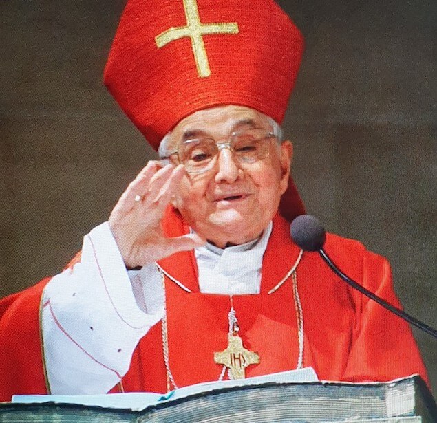 monsignor vincenzo rimedio