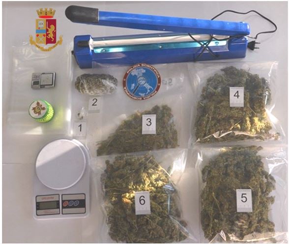 Droga: marijuana e hascisc in casa, un arresto della Polizia