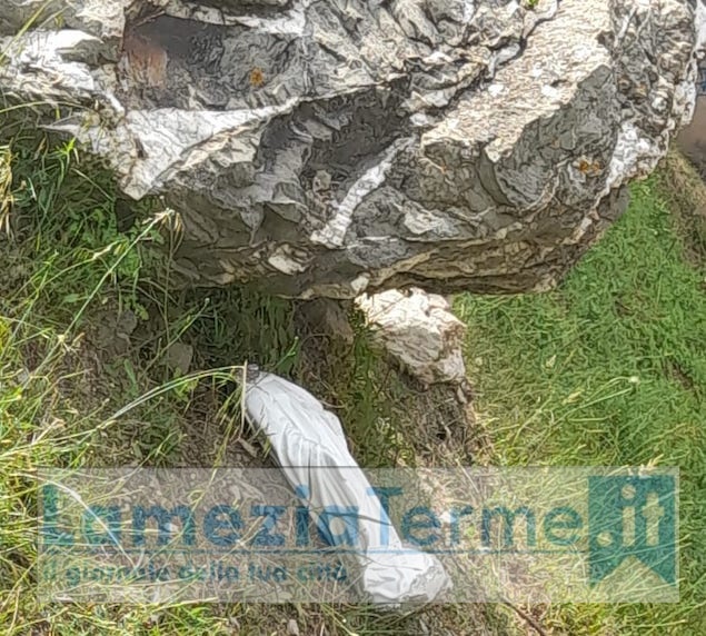 Lamezia. Nuovamente vandalizzata la statua della Madonnina al parco fluviale Mastroianni