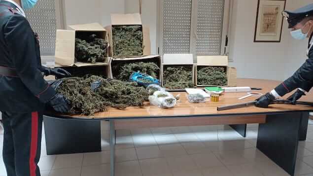 Jacurso (CZ). Scoperto deposito per essiccazione di marijuana, 2 arresti