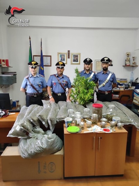 Droga: 11 piante di cannabis in giardino, arrestato