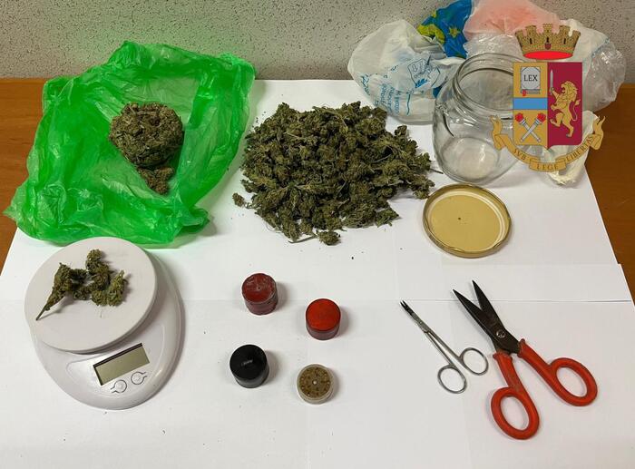 Droga: in edificio un etto di marijuana, un arresto