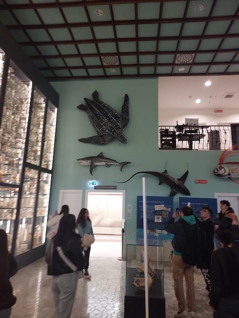 Studenti del Rambaldi visitano la stazione zoologica “Antonio Dohrn” di Napoli