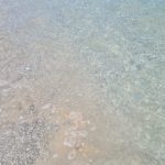 Uniti per il golfo di S.Eufemia: necessari interventi contro l’inquinamento del mare