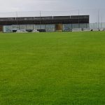 FC Lamezia Terme: manto erboso del D'Ippolito in perfette condizioni